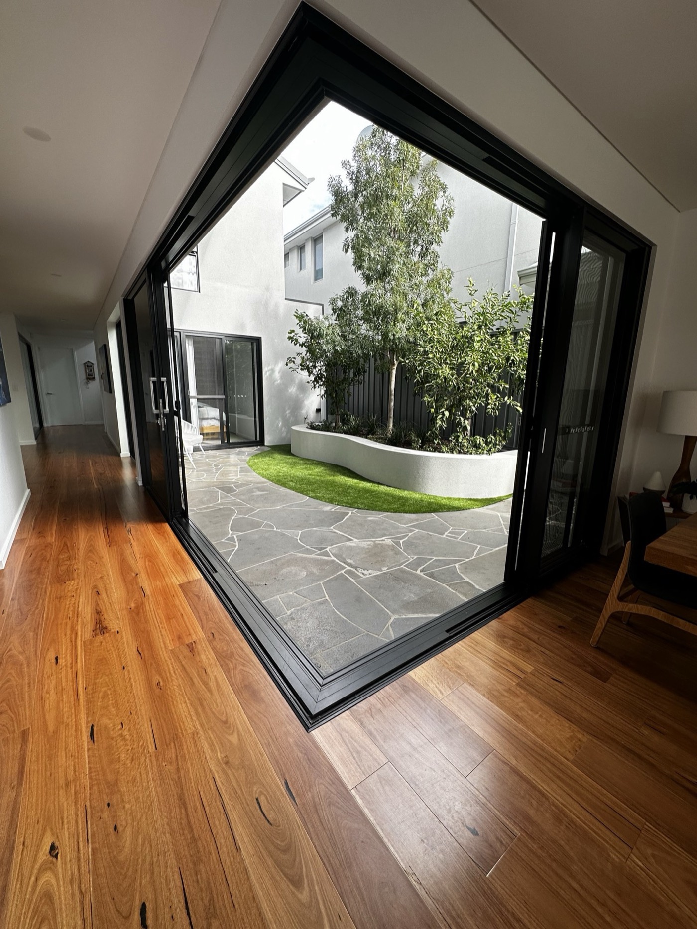 Black-framed opening connecting the Wasley Street interior to a curved garden courtyard